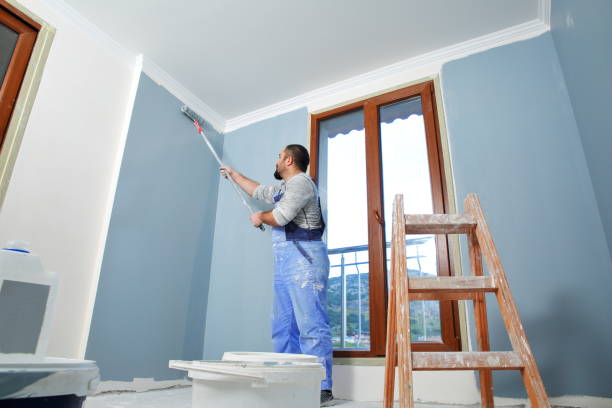 Best Drywall Sanding and Smoothing  in James City, NC